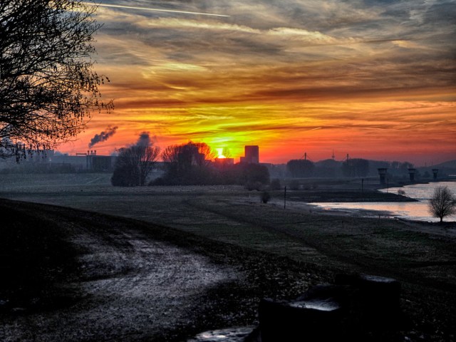 Rheinwiese bei Duisburg-Beeckerwerth