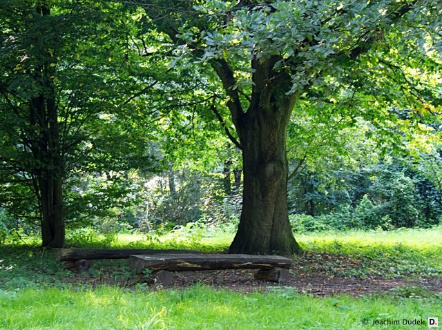 Lauschiges Plätzchen