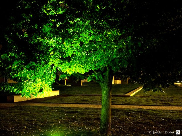 Garten der Erinnerung
