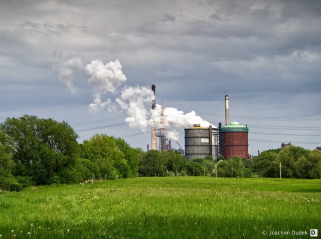 Wiesen am Rhein mit HKM